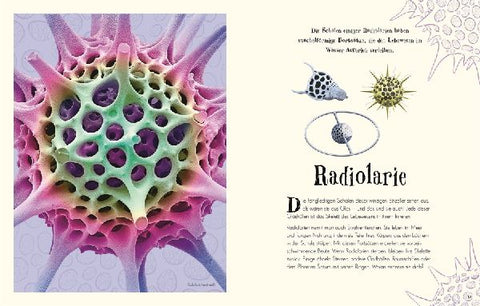 9783831040414 - Sample content