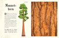 9783831040414 - Sample content