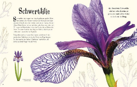 9783831040414 - Sample content