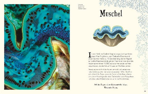 9783831040414 - Sample content