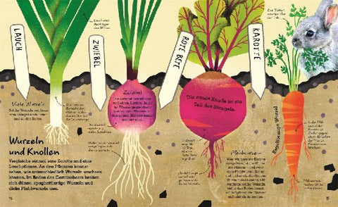 9783831040506 - Sample content