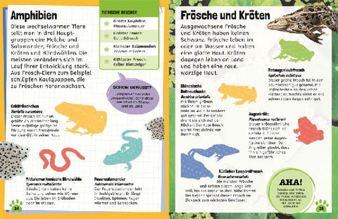 9783831040520 - Sample content