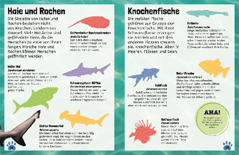 9783831040520 - Sample content