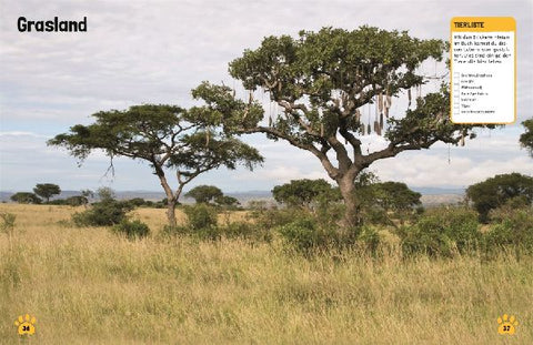 9783831040520 - Sample content