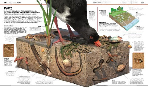 9783831041237 - Sample content