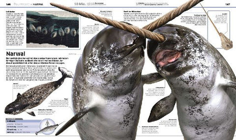 9783831041237 - Sample content