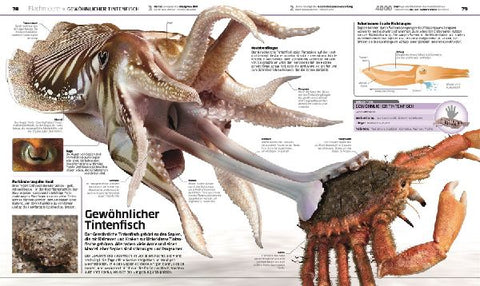 9783831041237 - Sample content