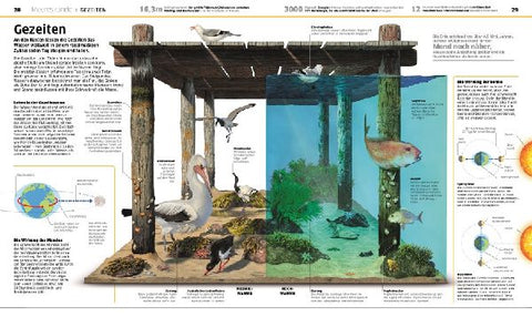 9783831041237 - Sample content