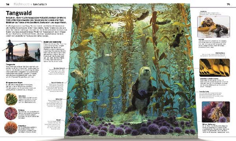 9783831041237 - Sample content