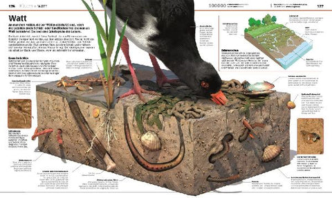 9783831041237 - Sample content