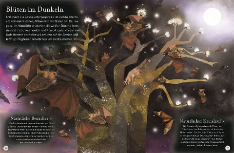 9783831041244 - Sample content