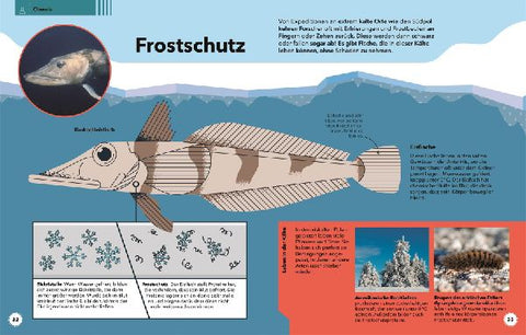 9783831042005 - Sample content