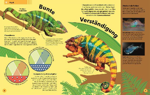 9783831042005 - Sample content