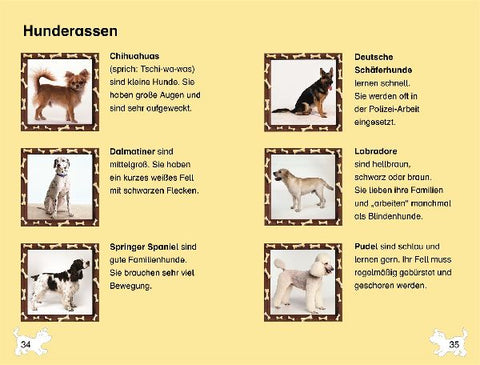 9783831042043 - Sample content