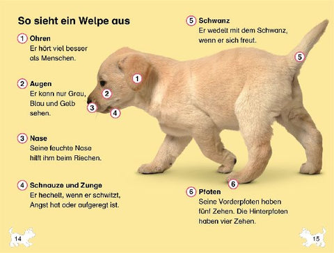 9783831042043 - Sample content