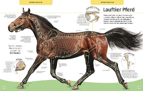 9783831042098 - Sample content