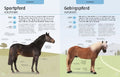 9783831042098 - Sample content