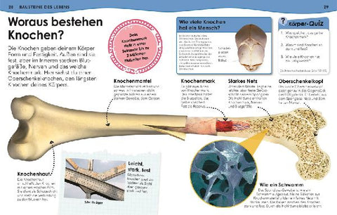 9783831042128 - Sample content