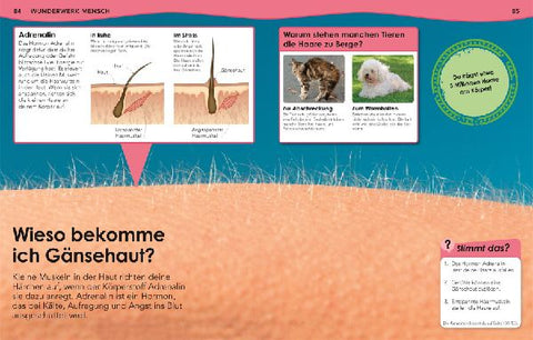 9783831042128 - Sample content