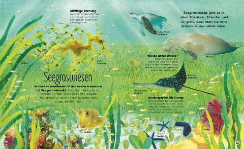 9783831042135 - Sample content