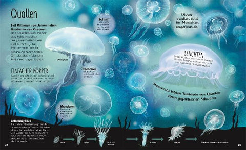 9783831042135 - Sample content