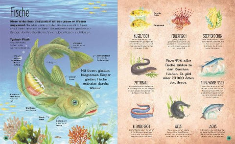 9783831042135 - Sample content