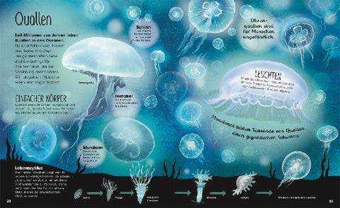 9783831042135 - Sample content