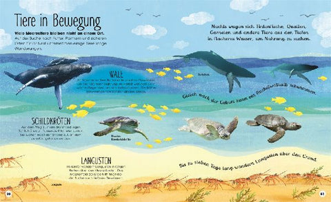 9783831042135 - Sample content