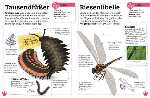 9783831042142 - Sample content