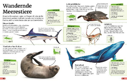 9783831042166 - Sample content