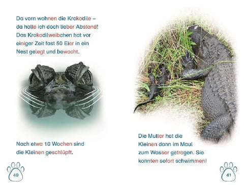 9783831043279 - Sample content