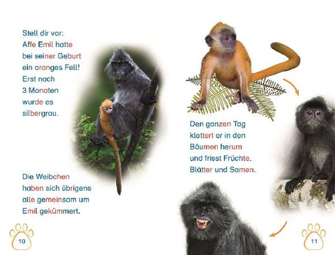 9783831043279 - Sample content