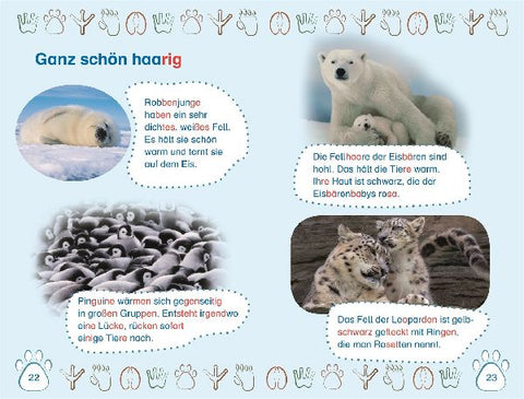 9783831043279 - Sample content