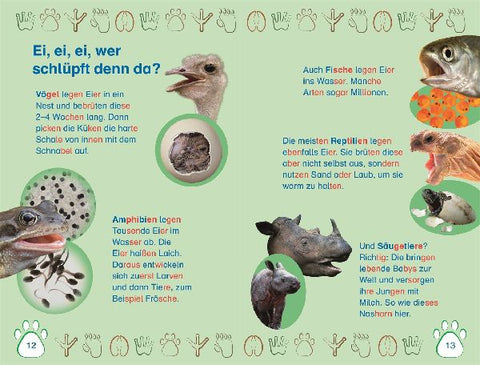 9783831043279 - Sample content