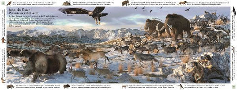 9783831043675 - Sample content