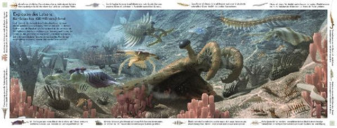 9783831043675 - Sample content