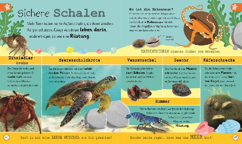 9783831043736 - Sample content