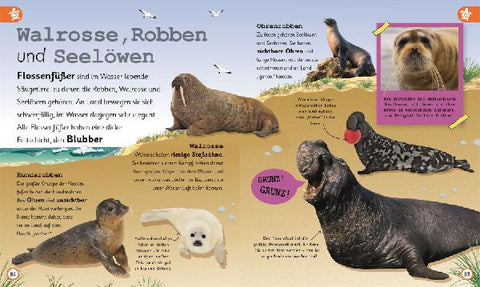 9783831043736 - Sample content