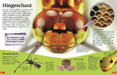 9783831043743 - Sample content