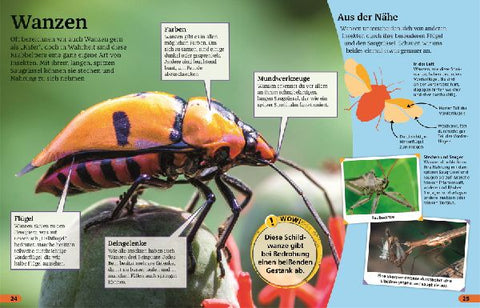 9783831043743 - Sample content