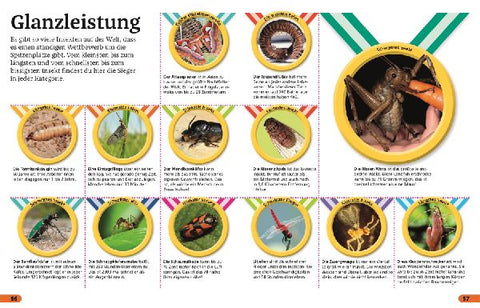 9783831043743 - Sample content