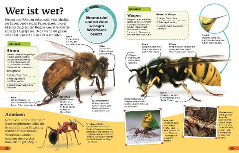 9783831043743 - Sample content