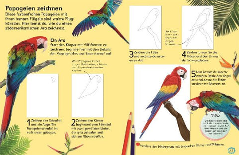 9783831043767 - Sample content