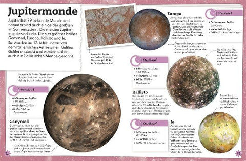 9783831043804 - Sample content