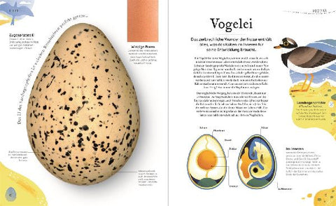 9783831044009 - Sample content