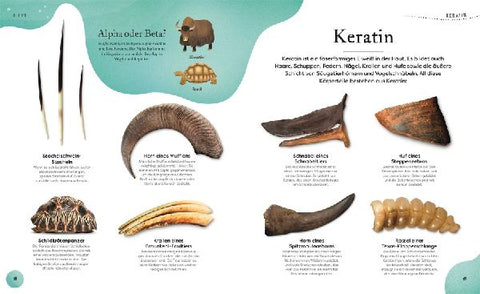 9783831044009 - Sample content