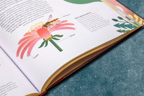 9783831044009 - Sample content