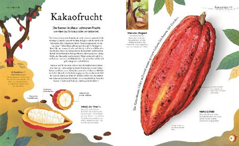 9783831044009 - Sample content