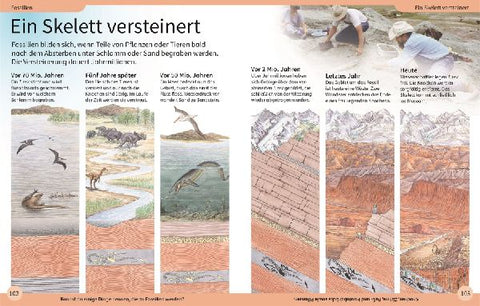 9783831044191 - Sample content