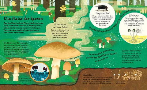 9783831044443 - Sample content